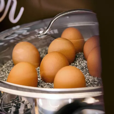 酒店 奥伯豪森市中心b&b酒店 3*