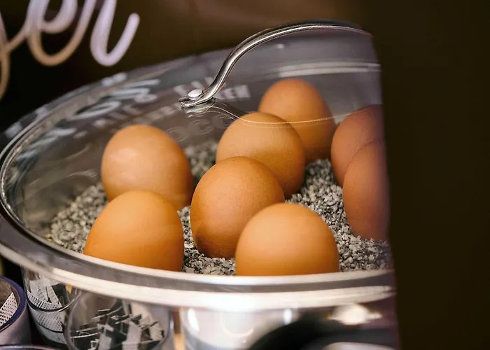 酒店 奥伯豪森市中心b&b酒店 3*